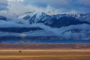Güz mevsiminin parlak renkleri Grand Teton Ulusal Parkı, Wyoming, ABD
