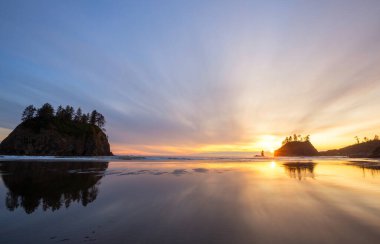 Washington, ABD Olimpiyat Ulusal Parkı 'ndaki manzaralı ve titiz Pasifik sahili. Okyanustaki kayalar ve sahildeki büyük kütükler..