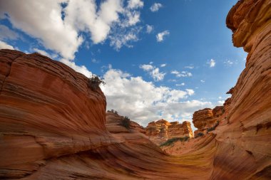 Vermillion Cliffs Vahşi Doğa Bölgesi, Utah ve Arizona 'dan Çakal Buttes.