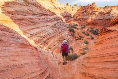 Utah dağlarında yürüyüş. Alışılmadık doğal manzaralarda yürüyüş. Fantastik kumtaşı oluşumları.