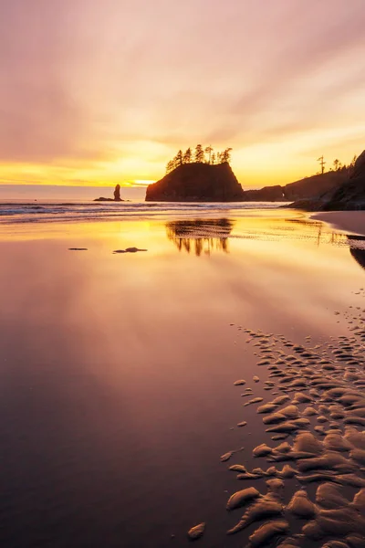 Costa Del Pacífico Escénica Rigurosa Parque Nacional Olímpico Washington Rocas —  Fotos de Stock