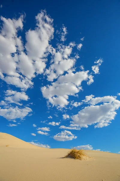 Scenic Sand Dunes Desert Natural Background — Stock Photo, Image