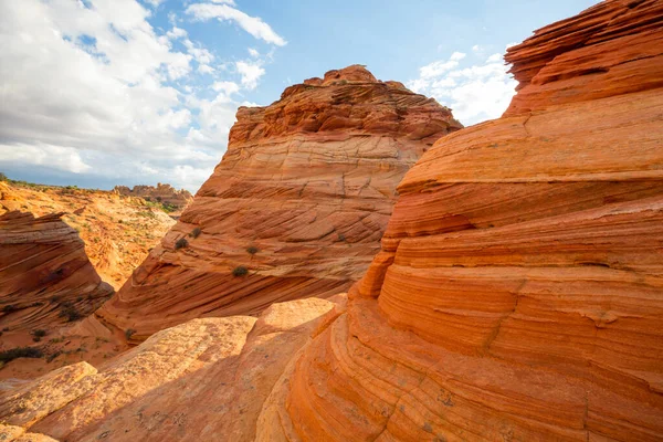 Vermillion Cliffs Vahşi Doğa Bölgesi, Utah ve Arizona 'dan Çakal Buttes.