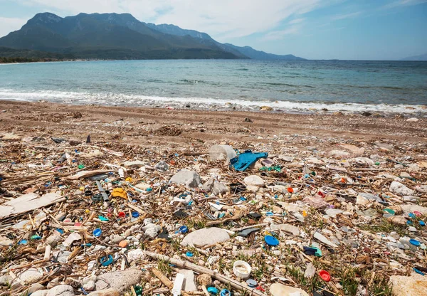 Ekolojik kavram. Plaj kirliliği - deniz sahilinde çöp