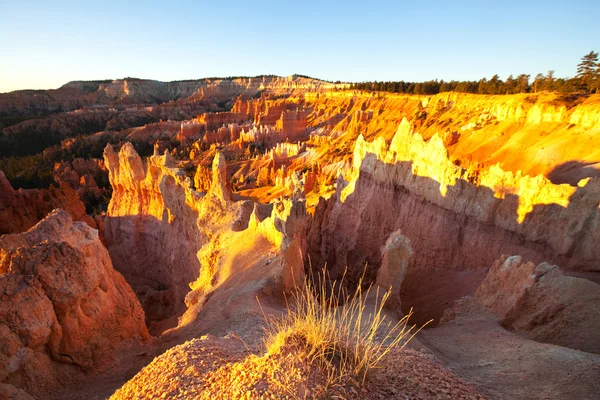 Bryce Canyon Ordförande — Stockfoto