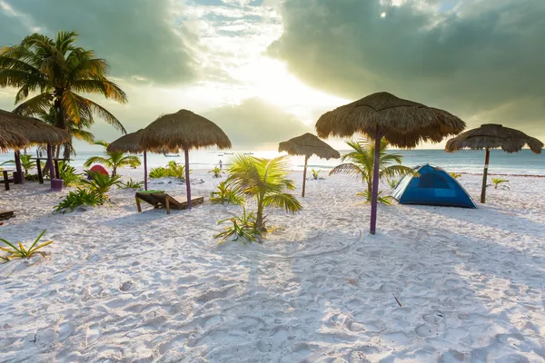 Spiaggia tropicale — Foto Stock