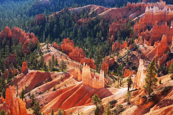 Bryce Canyon — Stock Photo, Image