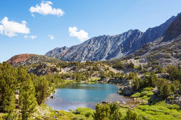 Lago Serenidade Nas Montanhas Temporada Verão Lindas Paisagens Naturais — Fotografia de Stock