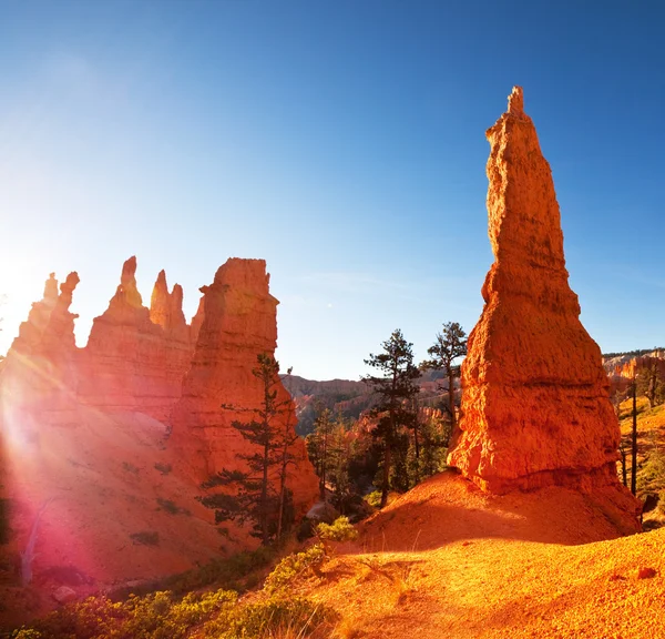 Cañón de Bryce —  Fotos de Stock