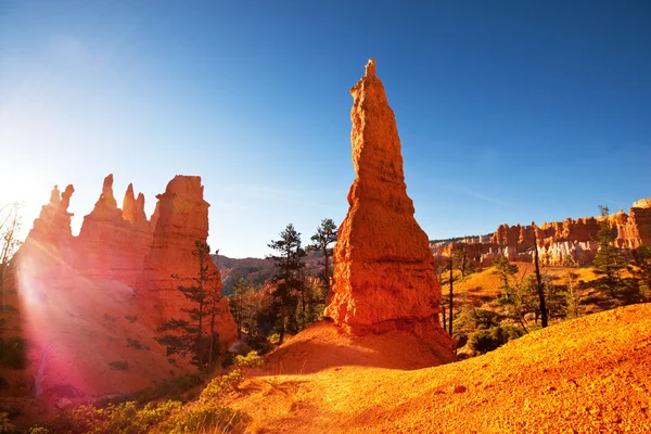 Cañón de Bryce — Foto de Stock