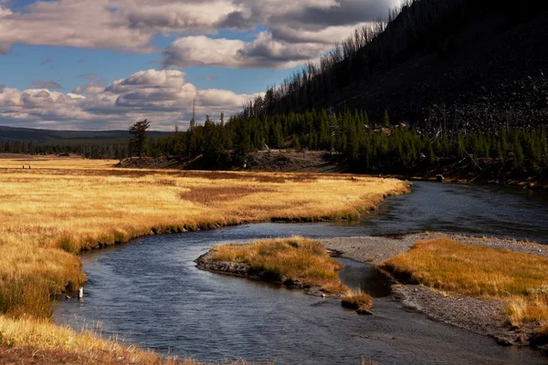 Autumn landscapes — Stock Photo, Image