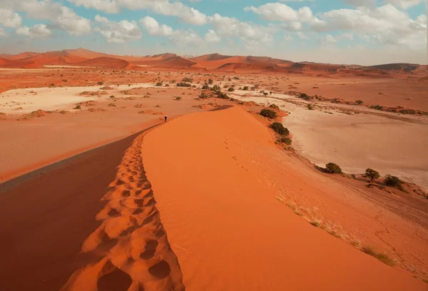 Schöne Sanddünen Der Wüste Namib Namibia — Stockfoto