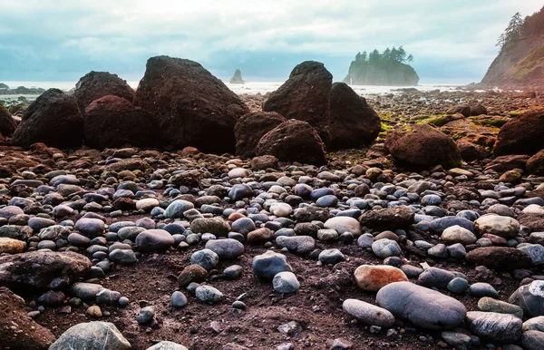 Costa Del Pacífico Escénica Rigurosa Parque Nacional Olímpico Washington Rocas — Foto de Stock