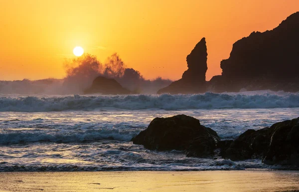 Landschaftliche Und Strenge Pazifikküste Olympic National Park Washington Usa Felsen — Stockfoto