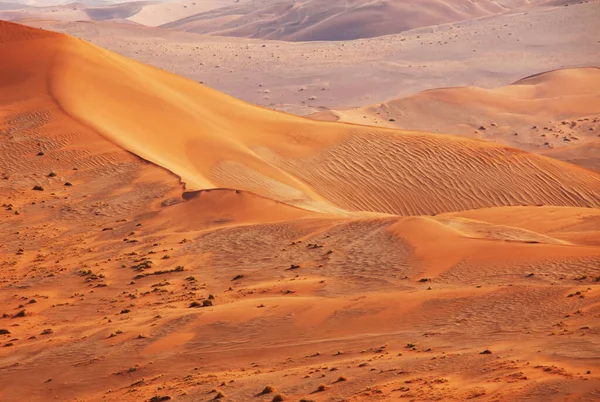Krásné Písečné Duny Namibijské Poušti Namibie — Stock fotografie