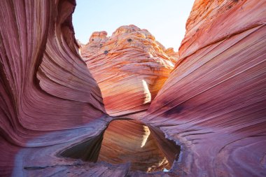 The Wave, Arizona, Vermillion Cliffs, Paria Canyon State Park, ABD. İnanılmaz doğal bir geçmiş.