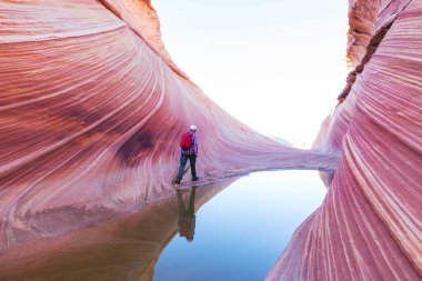 The Wave, Arizona, Vermillion Cliffs, Paria Canyon State Park, ABD. İnanılmaz doğal bir geçmiş.