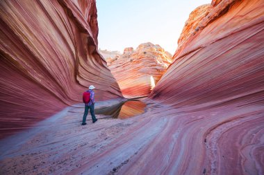 The Wave, Arizona, Vermillion Cliffs, Paria Canyon State Park, ABD. İnanılmaz doğal bir geçmiş.