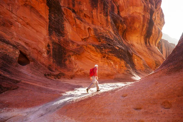 Man Vandring Slot Canyon Sommar Berg Utah Förenta Staterna — Stockfoto