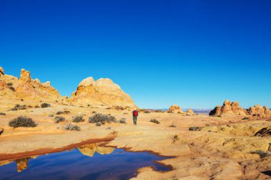 Utah dağlarında yürüyüş. Alışılmadık doğal manzaralarda yürüyüş. Fantastik kumtaşı oluşumları.