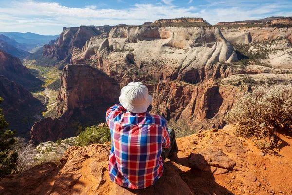 Zion Ulusal Parkı 'nda yürüyüş. Utah, Zion Ulusal Parkı 'nda bir adam yolda yürüyor. Geriye dönük bir yüz görünmüyor..