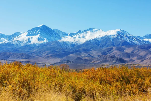 Widok Góry Sierra Nevada Jesienny Krajobraz Liści Kalifornia Usa — Zdjęcie stockowe