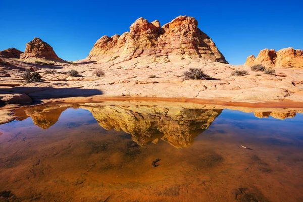 Vermillion Cliff Wilderness, Utah ve Arizona 'daki Coyote Buttes su birikintileri.