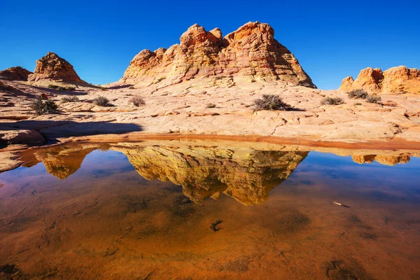 Piscinas Água Coyote Buttes Vermillion Cliffs Wilderness Area Utah Arizona — Fotografia de Stock