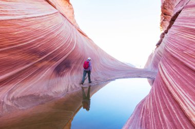 The Wave, Arizona, Vermillion Cliffs, Paria Canyon State Park, ABD. İnanılmaz doğal bir geçmiş.