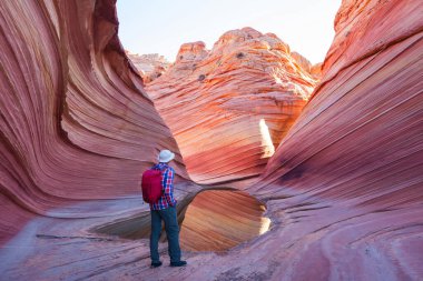 The Wave, Arizona, Vermillion Cliffs, Paria Canyon State Park, ABD. İnanılmaz doğal bir geçmiş.
