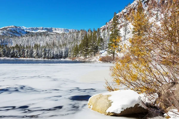 美丽的自然景观在冬季山的早期 内华达山脉的风景美国加州旅行和寒假背景 — 图库照片