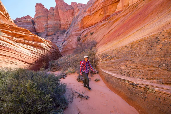 Utah dağlarında yürüyüş. Alışılmadık doğal manzaralarda yürüyüş. Fantastik kumtaşı oluşumları.