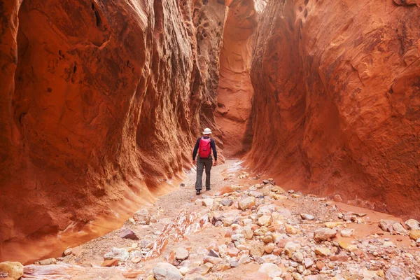 Kanion Szczelinowy Parku Narodowym Grand Staircase Escalante Utah Usa Niezwykłe — Zdjęcie stockowe