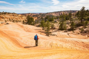 Utah dağlarında yürüyüş. Alışılmadık doğal manzaralarda yürüyüş. Fantastik kumtaşı oluşumları.