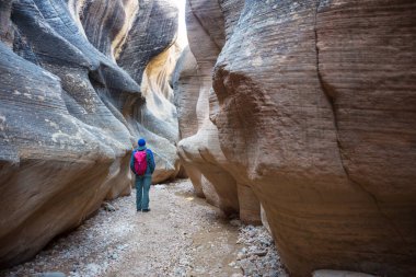Utah, ABD 'deki Grand Staircase Escalante Ulusal Parkı' ndaki Slot Kanyonu. Utah çöllerinde alışılmadık renkli kumtaşı oluşumları yürüyüşçüler için popülerdir..