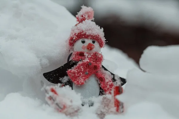 美丽的雪人在雪年2021年的背景下 — 图库照片