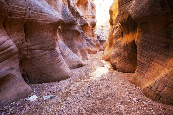 Slot Canyon Grand Staircase Escalante National Park Utah Usa Unusual — Stock Photo, Image