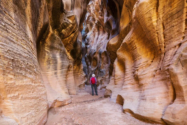 Kanion Szczelinowy Parku Narodowym Grand Staircase Escalante Utah Usa Niezwykłe — Zdjęcie stockowe