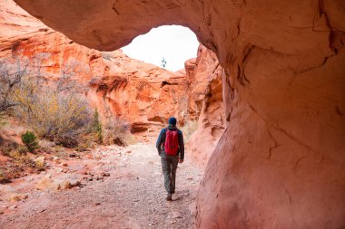 Utah dağlarında yürüyüş. Alışılmadık doğal manzaralarda yürüyüş. Fantastik kumtaşı oluşumları.