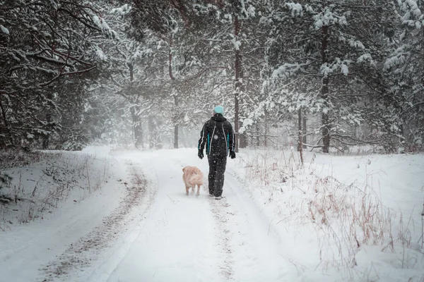 눈덮인 속에서 산책하는 — 스톡 사진