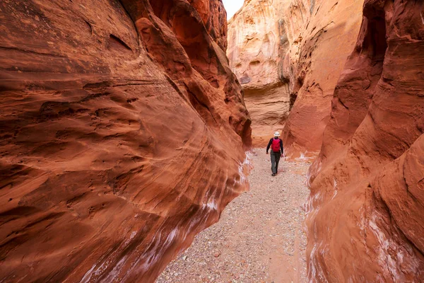 Slot Canyon Grand Staircase Escalante National Park Utah Usa Neobvyklé — Stock fotografie