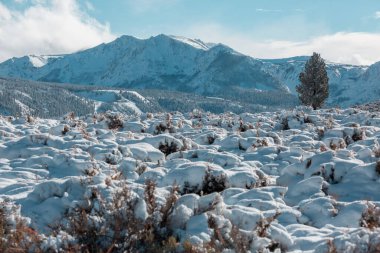 Dağlarda kış sezonu