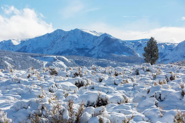 米国カリフォルニア州のシエラネバダ山脈 — ストック写真
