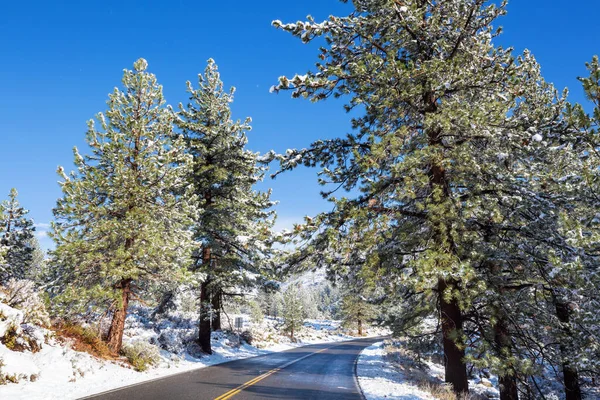 雪に覆われた森林 冬の季節の道路 — ストック写真