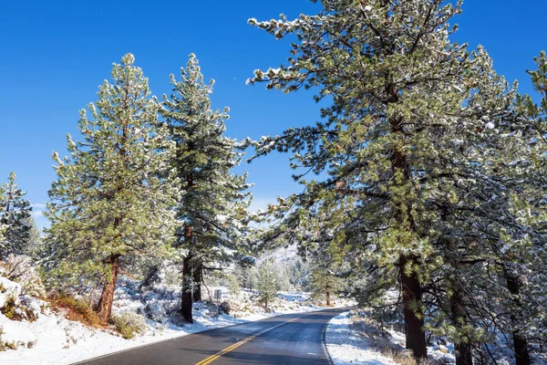 Camino Bosque Cubierto Nieve Temporada Invierno — Foto de Stock