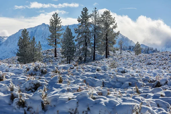 Temporada Inverno Nas Montanhas — Fotografia de Stock