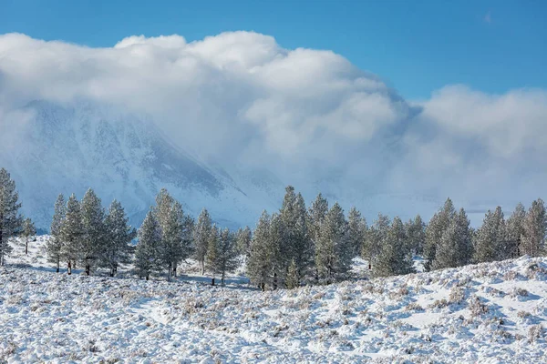Schneebedeckte Berge Der Wintersaison — Stockfoto
