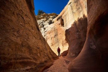 Utah, ABD 'deki Grand Staircase Escalante Ulusal Parkı' ndaki Slot Kanyonu. Utah çöllerinde alışılmadık renkli kumtaşı oluşumları yürüyüşçüler için popülerdir..