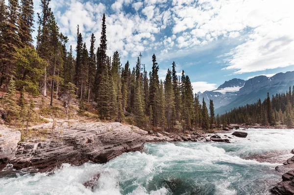 Vista Panoramica Sul Fiume Athabasca Jasper National Park Alberta Canada — Foto Stock