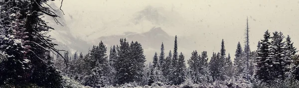 Scenic Snow Covered Peaks Winter Glacier National Park Montana Usa — Stock Photo, Image